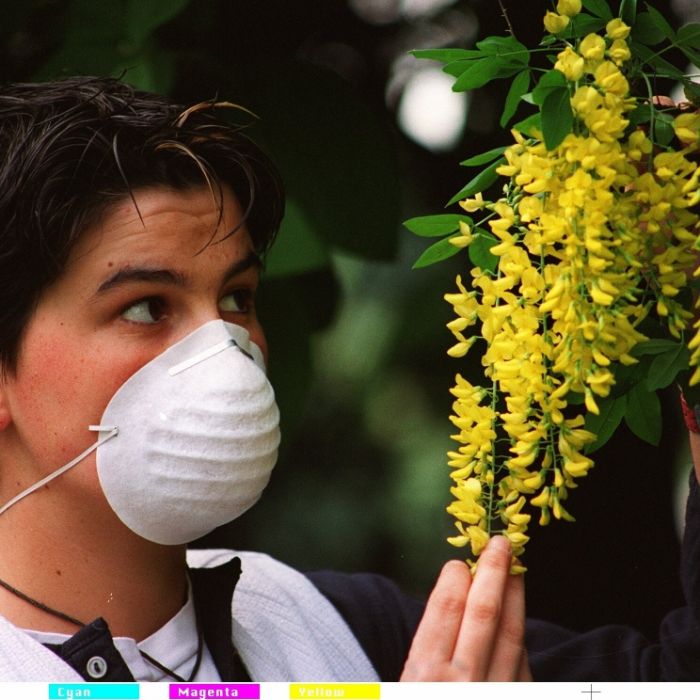 Eine junge Frau schützt sich durch eine Feinstaubmaske vor den Pollen des Goldregens, am 01.01.2000. (Symbolbild)