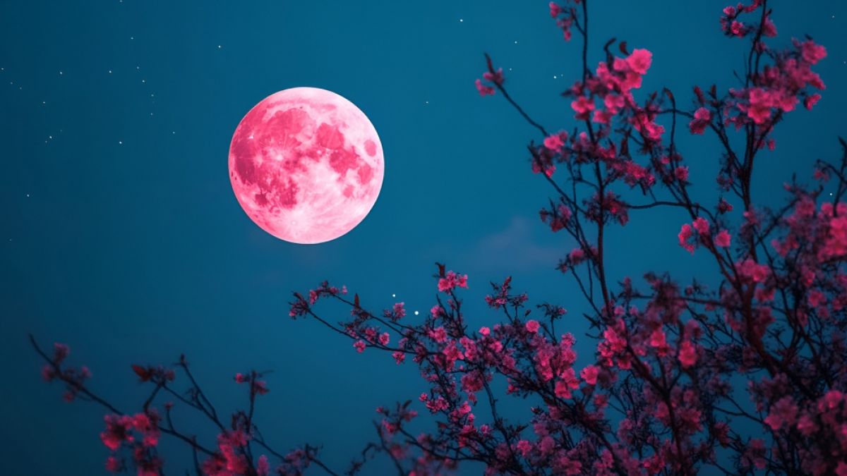 Im April leuchtet der Pink Moon am Himmel. (Foto)