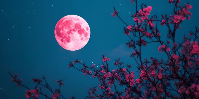 Vollmond heute am 02.04.2026