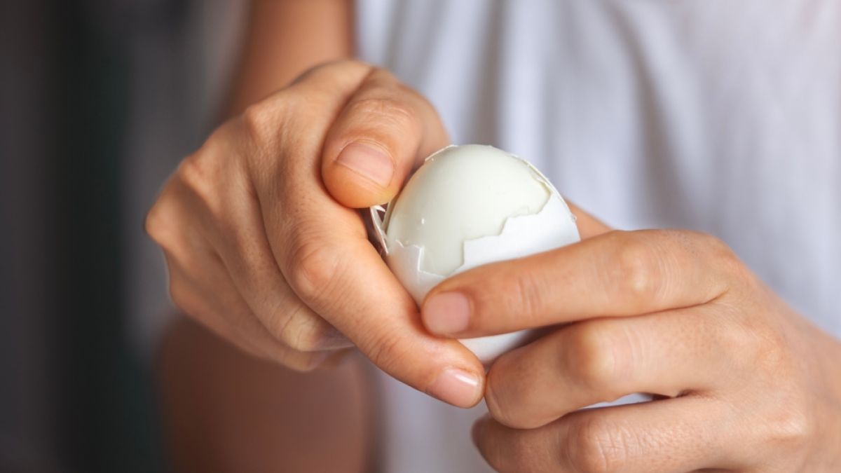 Wer die Eierschale mitessen m&ouml;chte, sollte Vorsicht walten lassen, da Salmonellen auf der Schale lauern k&ouml;nnen. (Foto)