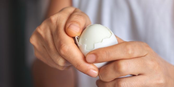 Vor- und Nachteile der Schale