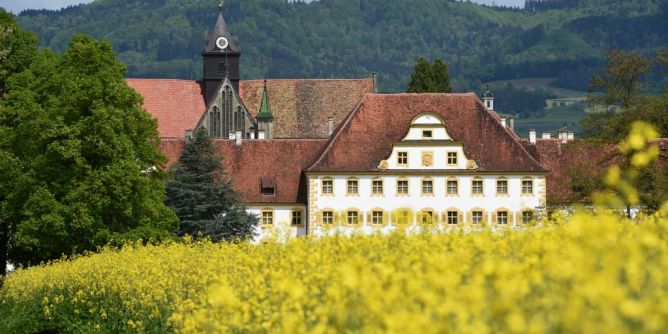 Top 10 Privatschulen