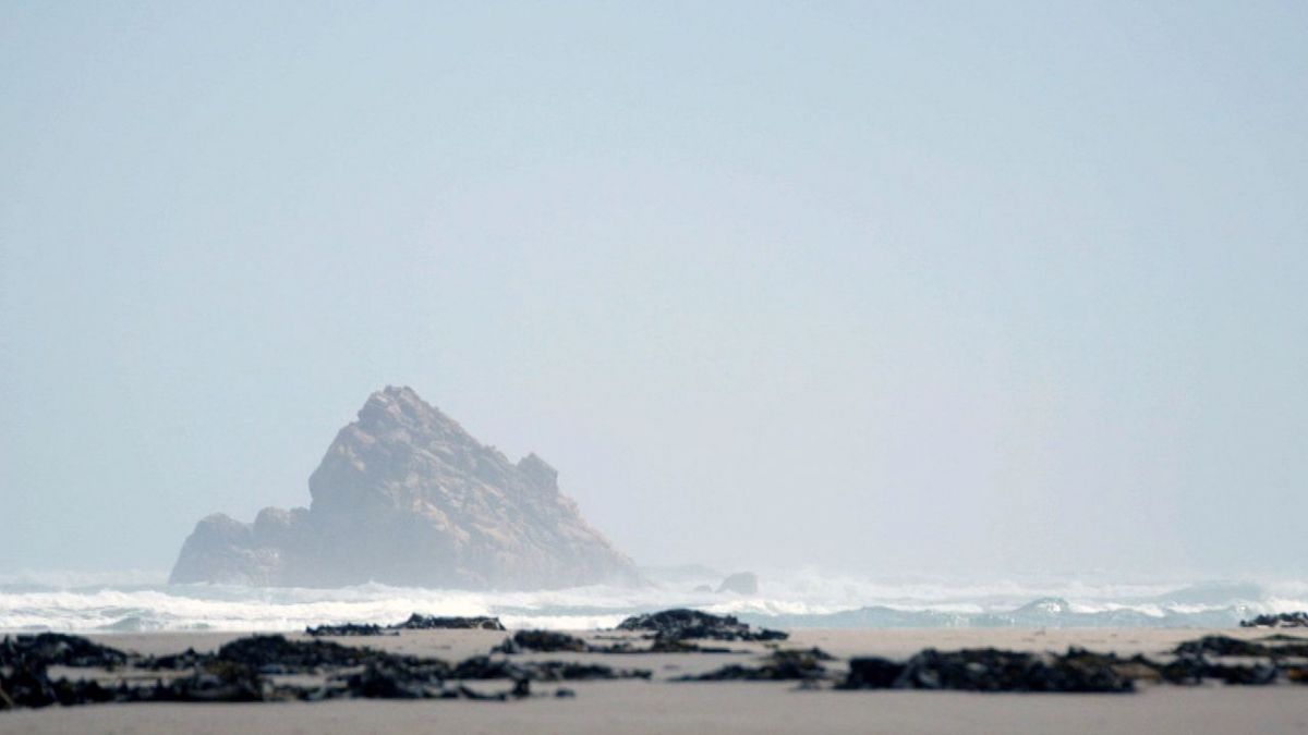 Stadt Land Kunst bei Arte (Foto)