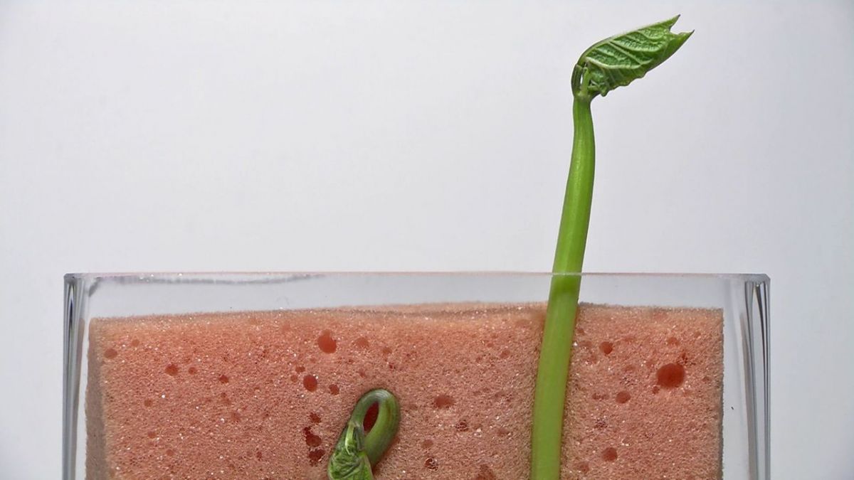 Die Sendung mit dem Elefanten bei KiKA (Foto)