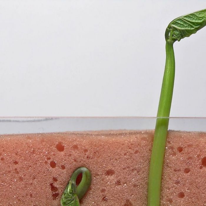 Die Sendung mit dem Elefanten bei KiKA