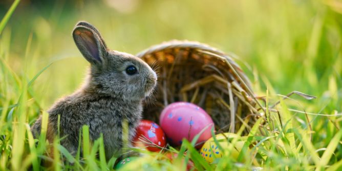 Wetter an Ostern 2026