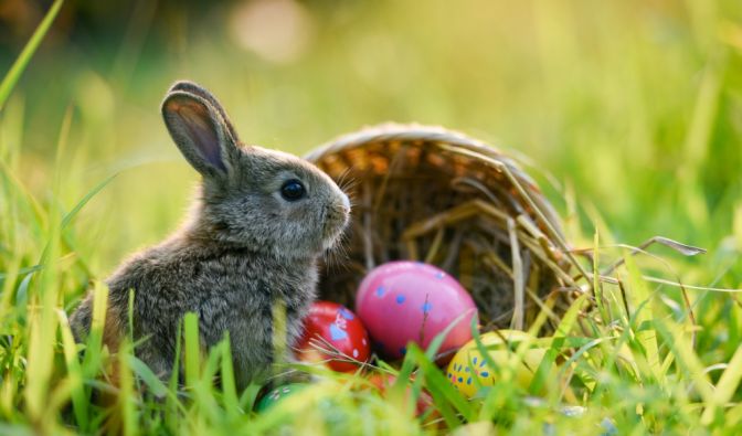 Wetter an Ostern 2026