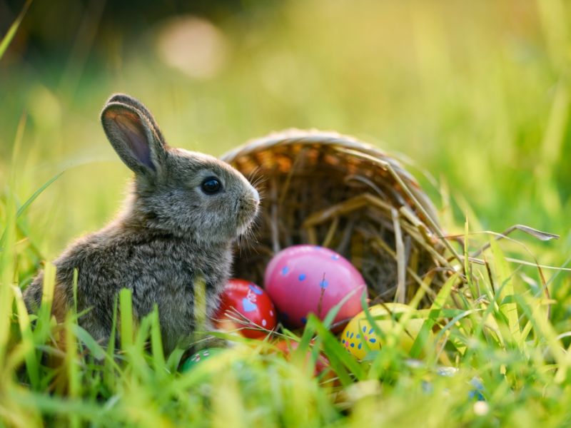 Wetter an Ostern 2026: So warm wird es an Karfreitag, Ostersonntag und Ostermontag