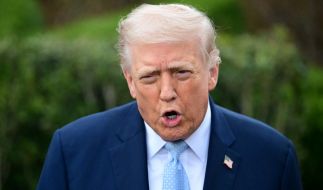 Donald Trump greift nach Grönland.