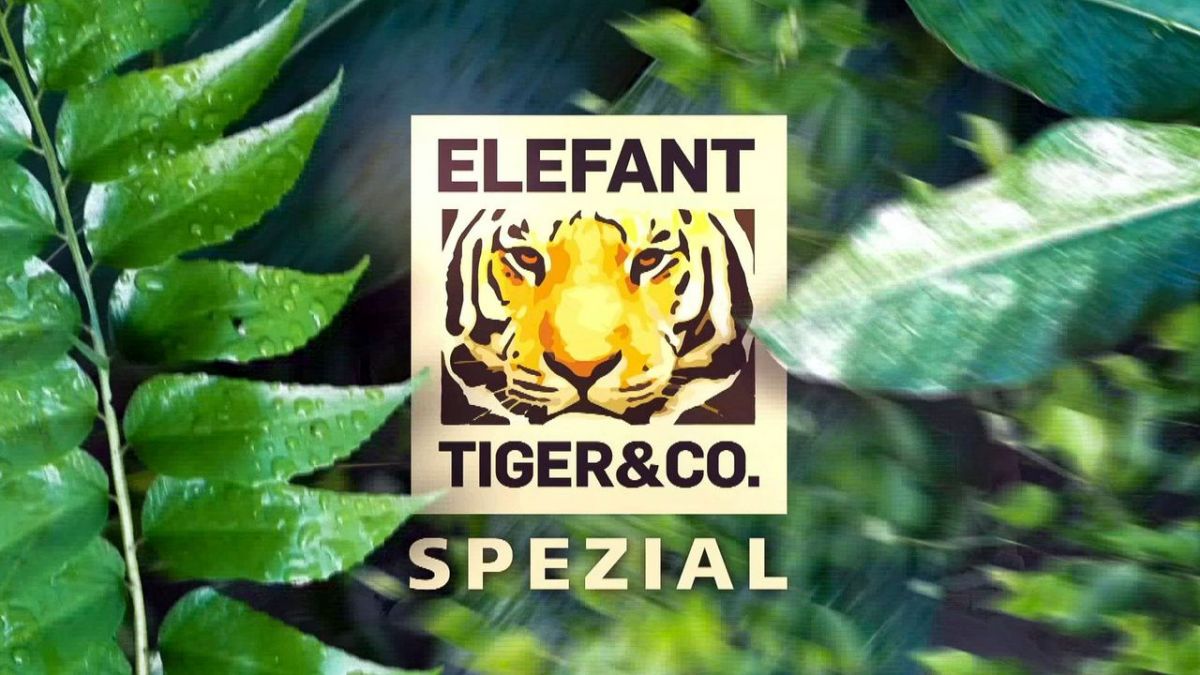 Elefant, Tiger & Co. - Spezial bei MDR (Foto)