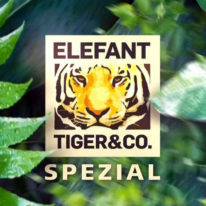 Elefant, Tiger & Co. - Spezial bei MDR