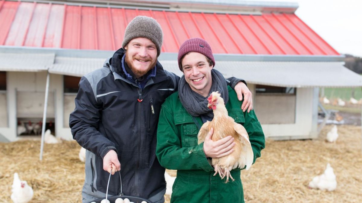 Checker Tobi bei KiKA (Foto)