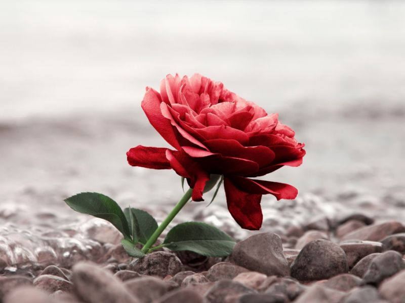 Annabella Lovas ist tot: "Bachelor"-Star lag wochenlang leblos in Schlucht auf Gran Canaria