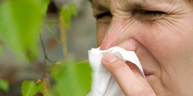 Pollensaison 2026