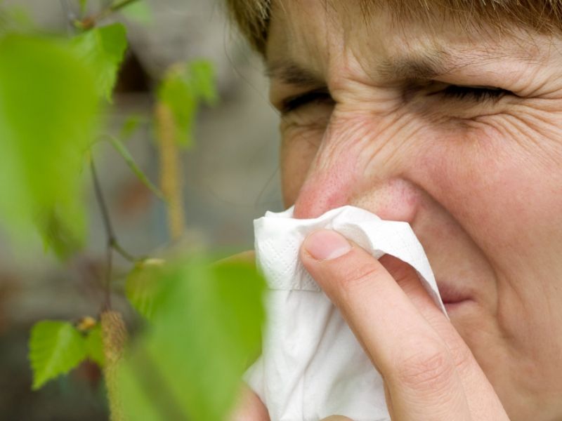 Pollensaison 2026: Umweltmedizinerin klärt auf - werden Symptome immer schlimmer?