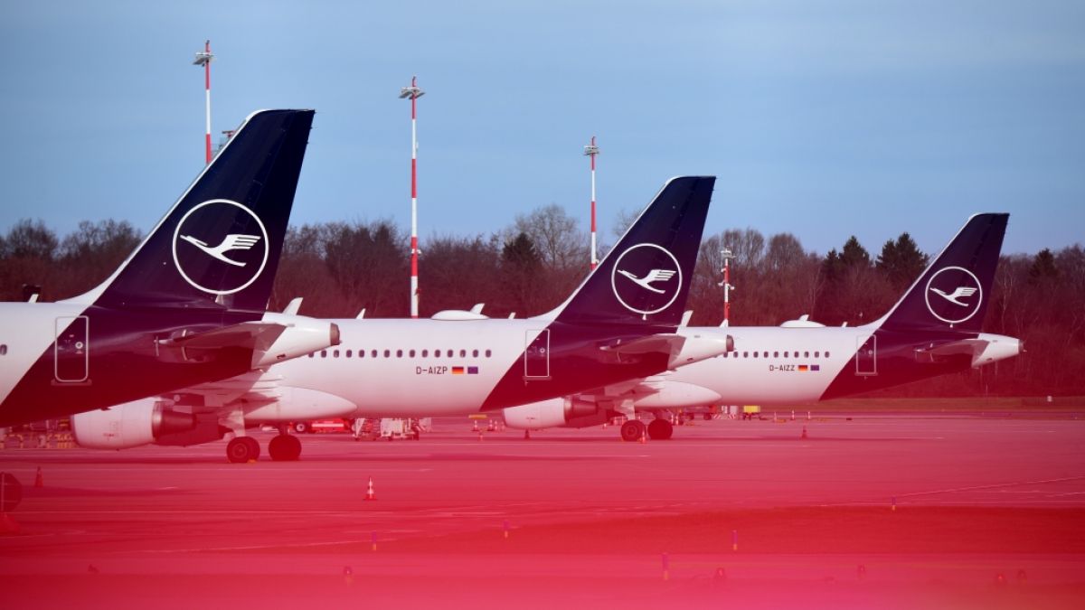 Die Flugbegleiter der Lufthansa streiken am Freitag. (Foto)
