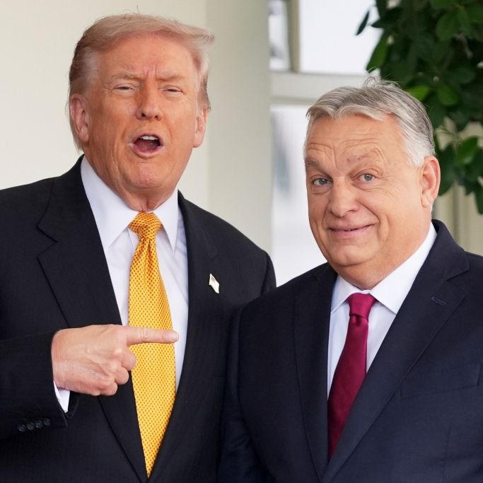 Ein letzter Versuch - US-Präsident will Viktor Orban retten