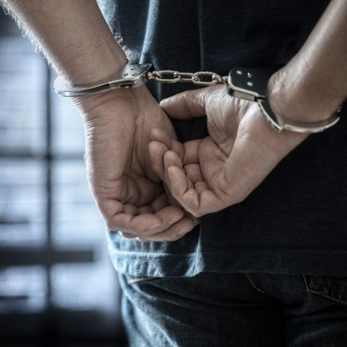 Influencer (34) will Mord der Freundin seinem Hund anhängen - 75 Jahre Haft