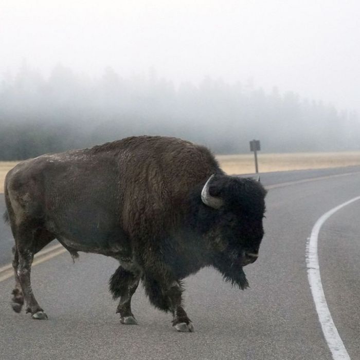 Wiederholung vom 12.4.2026 im TV und online