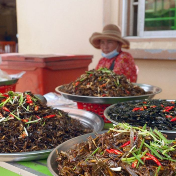 Märkte der Welt bei Arte