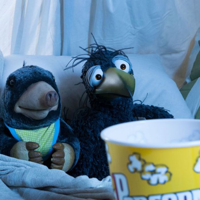 Wann und wo man die Wiederholung sehen kann