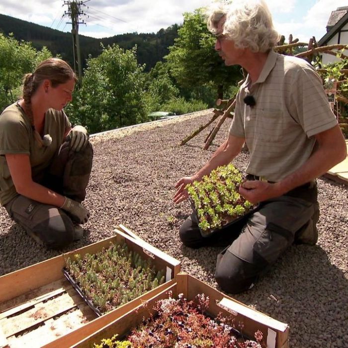 Wiederholung vom 12.4.2026 im TV und online