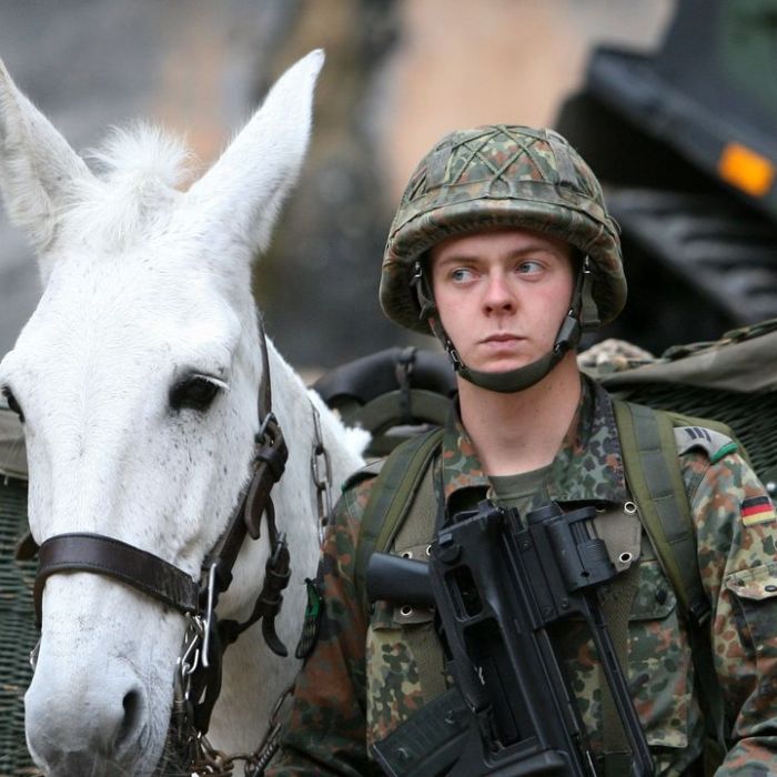 Wiederholung vom Sonntag im TV und online