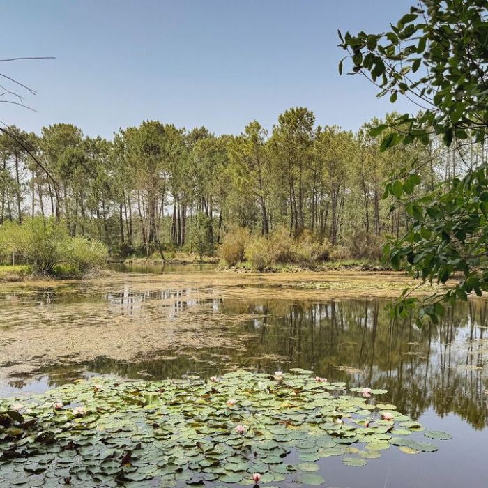 TV-Wiederholung und Online-Mediathek im Überblick