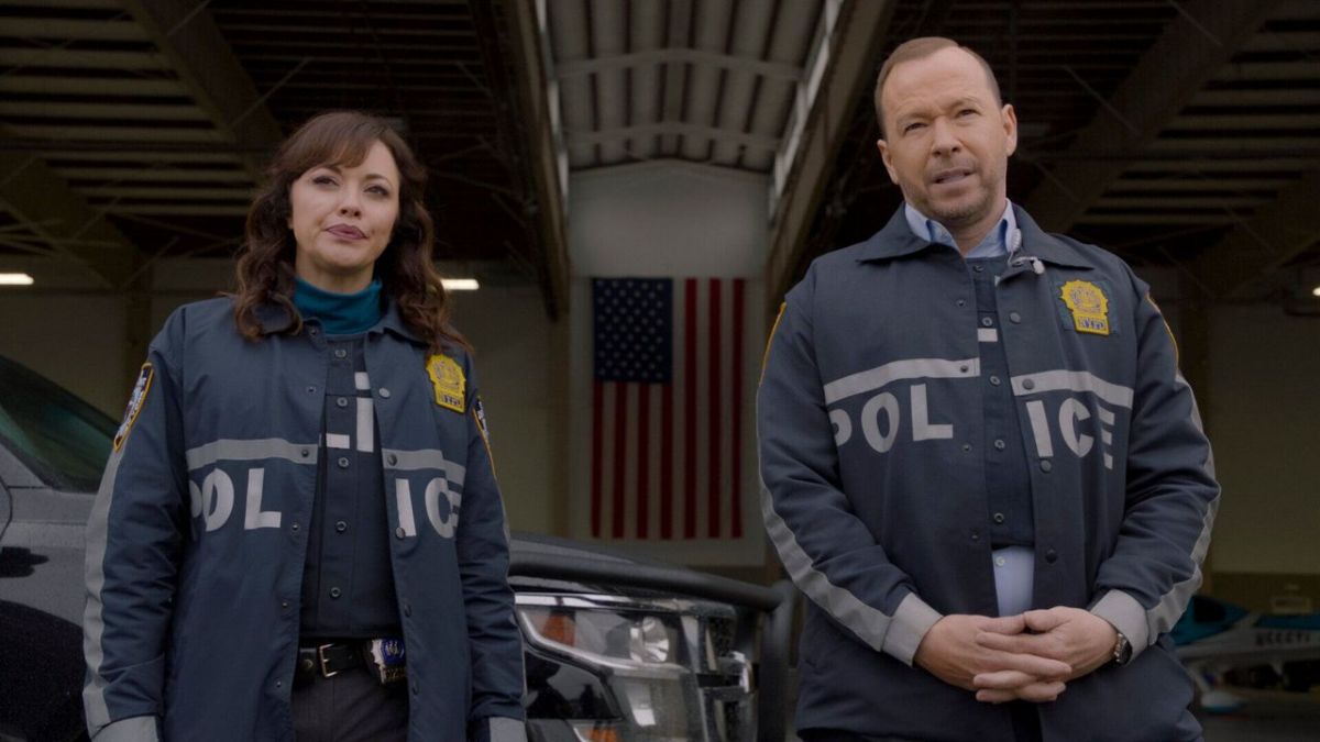 Blue Bloods - Crime Scene New York bei Kabel Eins (Foto)