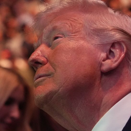 So sehen Sie die Käfigschlacht im Wohnzimmer von Donald Trump live