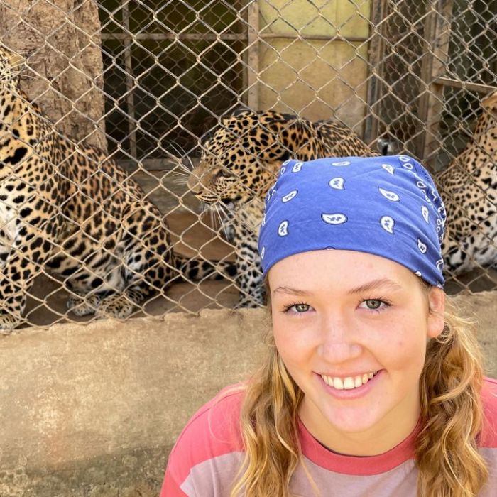 Wiederholung und Mediathek zur Sendung