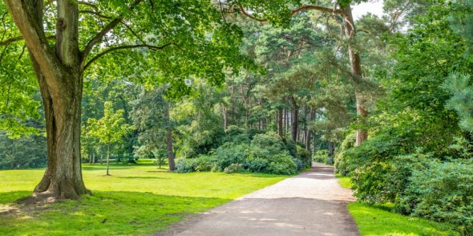 Gruppenvergewaltigung schockt Brandenburg