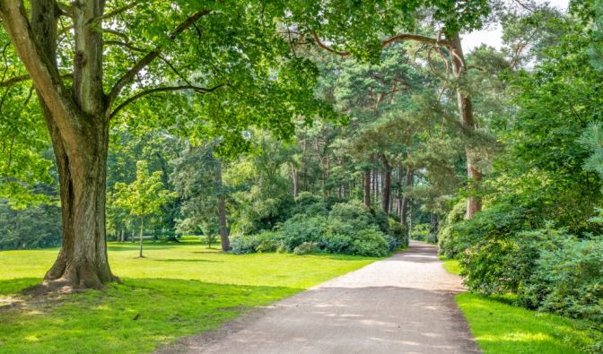 In einem Stadtpark in Fürstenwalde sollen die zwei Mädchen missbraucht worden sein.
