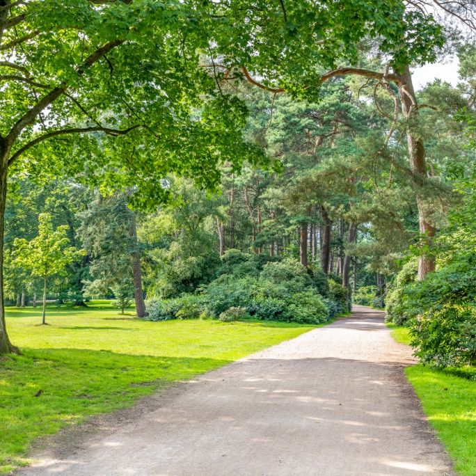 2 Mädchen von 8 Jugendlichen im Stadtpark vergewaltigt