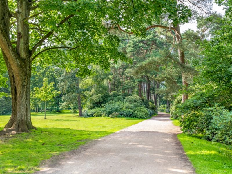 Gruppenvergewaltigung schockt Brandenburg: Zwei Mädchen von acht Jugendlichen im Stadtpark vergewaltigt