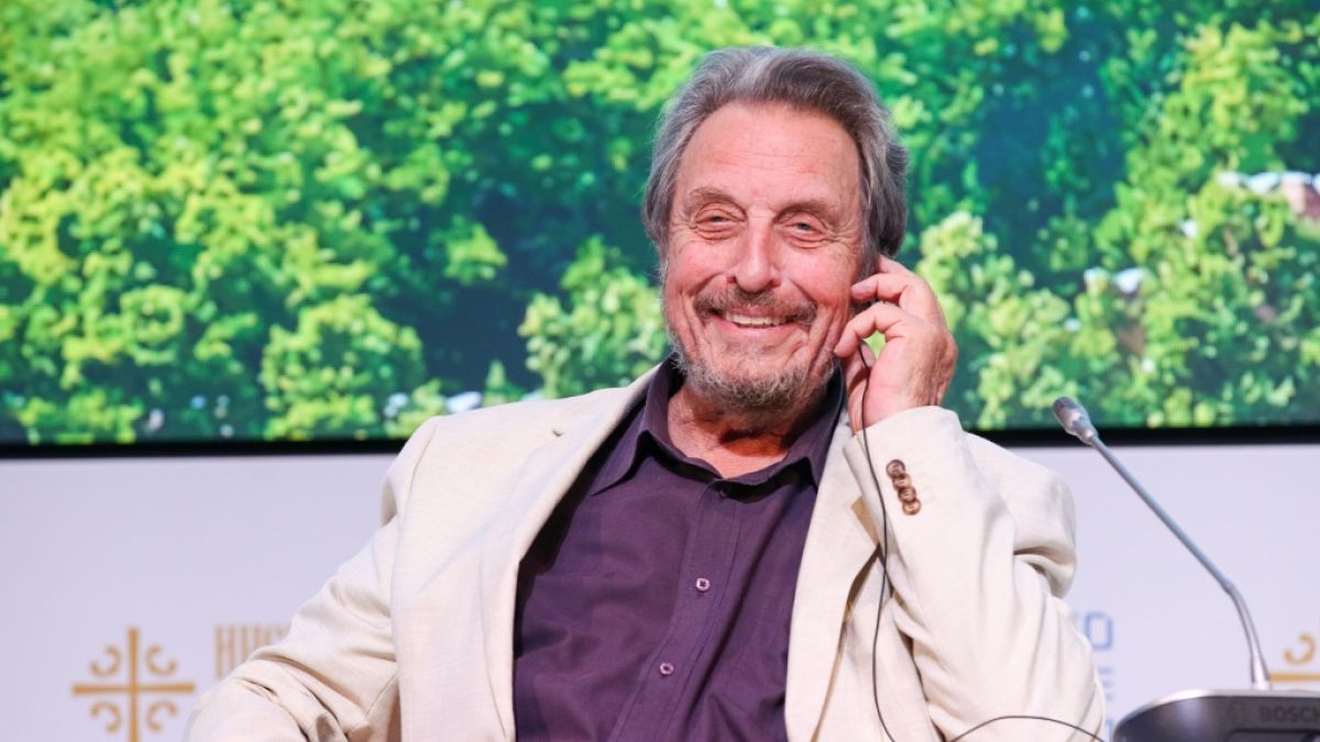 Errol Musk, der Vater von Elon Musk, fiel im russischen Staatsfernsehen zu irren Theorien &uuml;ber Jeffrey Epstein auf. (Foto)