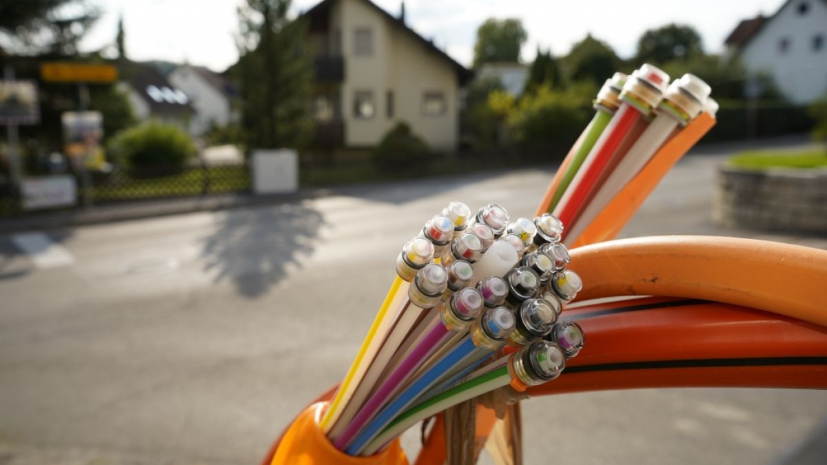 Die Spionage-Technik der Forscher kommt ganz ohne Elektronik aus. (Foto)