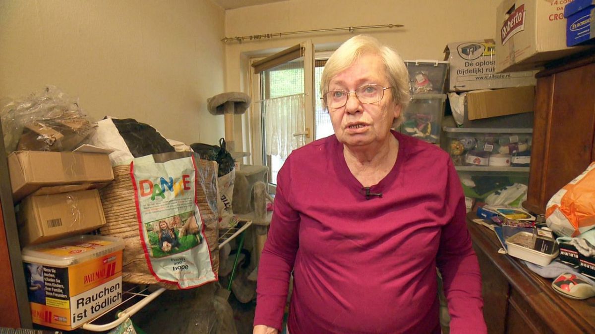 Hartz Rot Gold bei RTL Zwei (Foto)