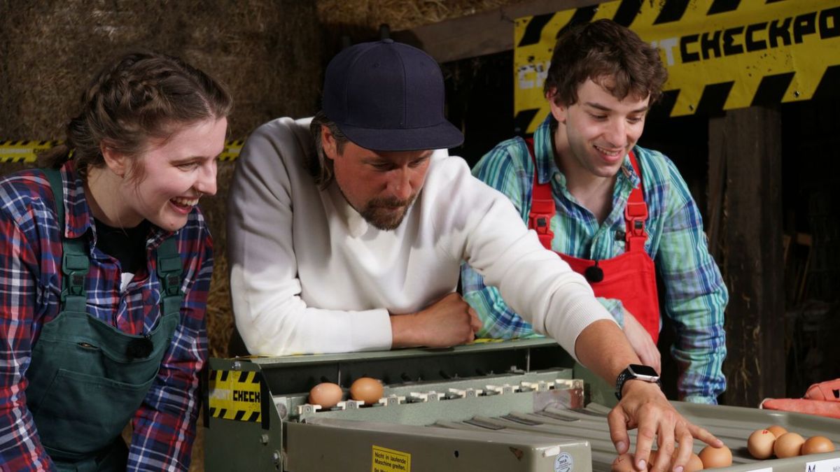 Checkpoint bei KiKA (Foto)