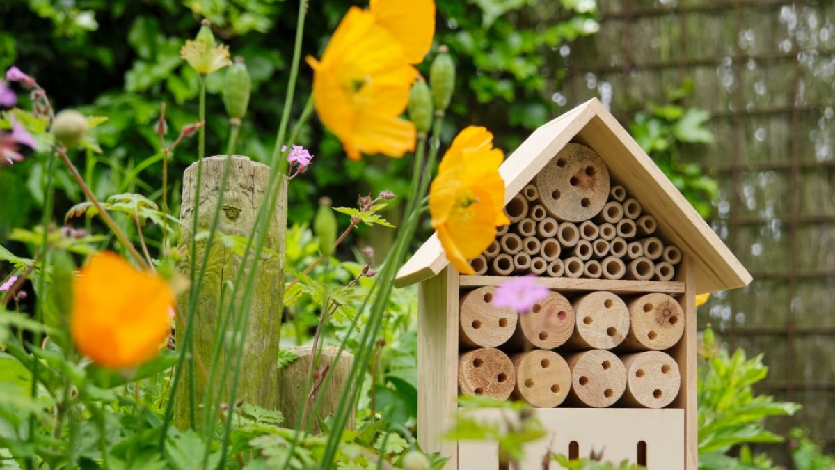 Ein Naturgarten f&ouml;rdert die Artenvielfalt. (Foto)