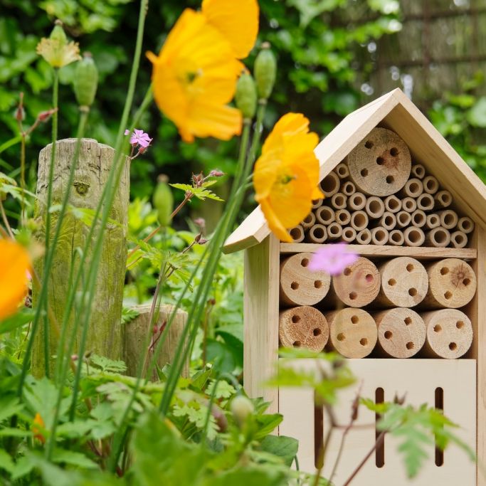So wird der Garten zum wilden Paradies für Mensch und Tier
