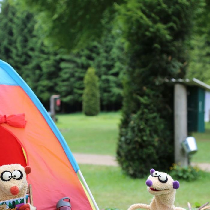 Wiederholung und Mediathek zur Sendung