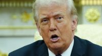 Erst forderte er sie, jetzt will er sie nicht mehr - Donald Trump spottet über Hilfsangebote der Nato bei der Bewachung der Straße von Hormus.