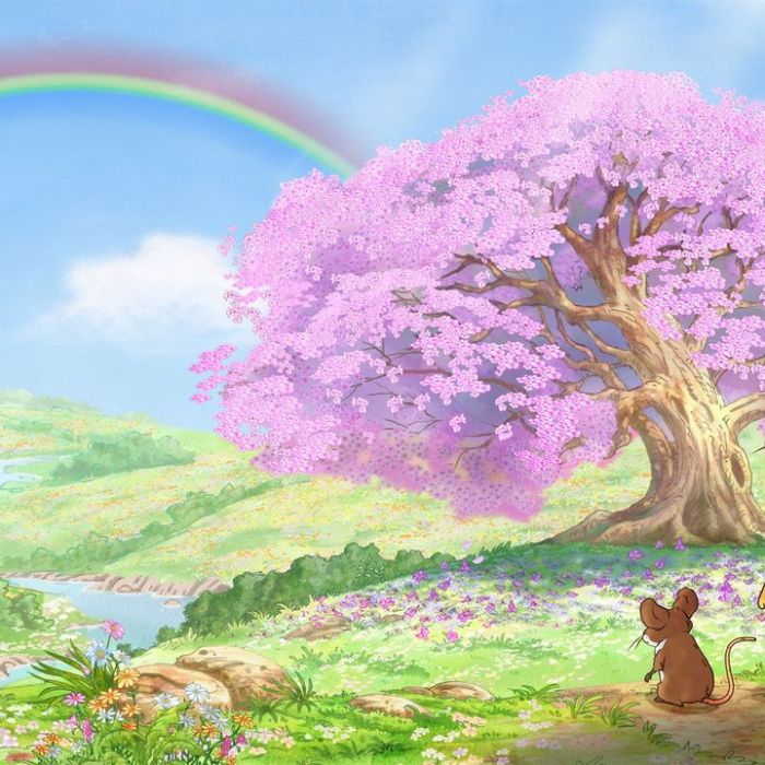 Wiederholung und Mediathek zur Sendung