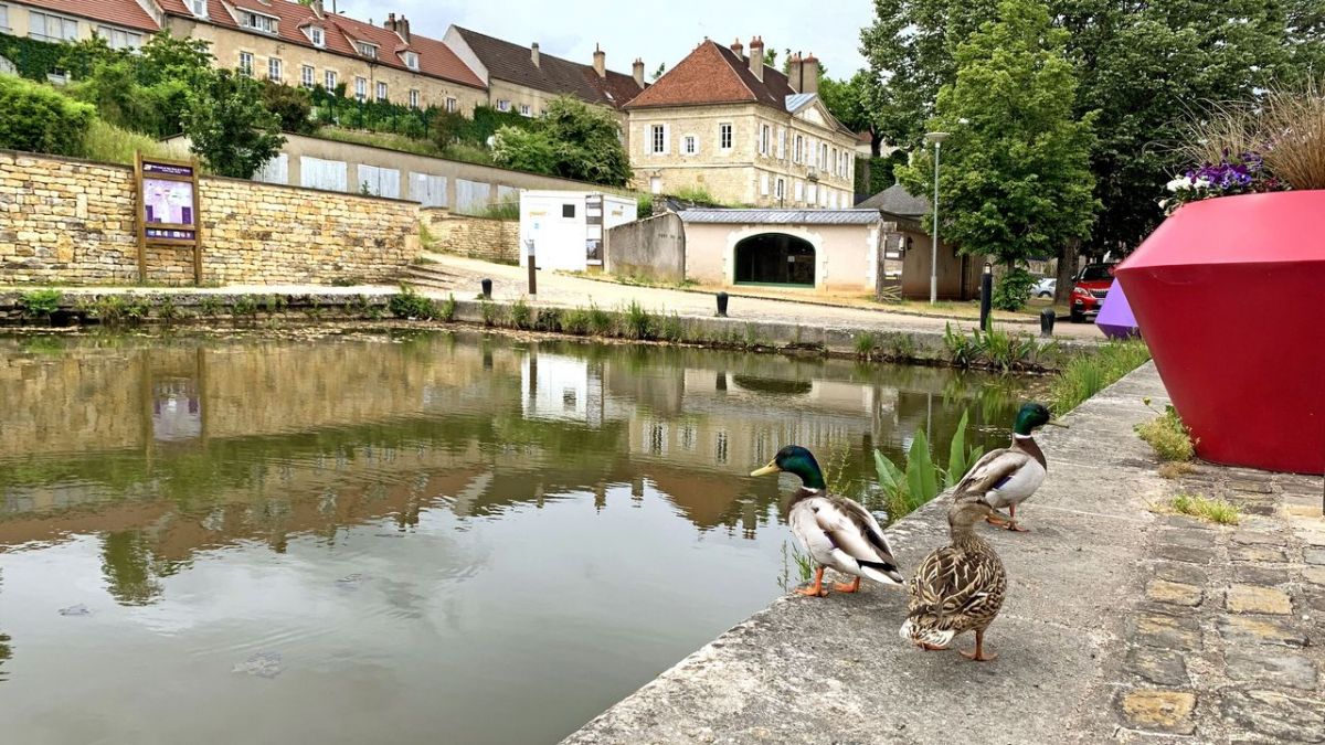 Burgund per Hausboot, da will ich hin! bei 3sat (Foto)