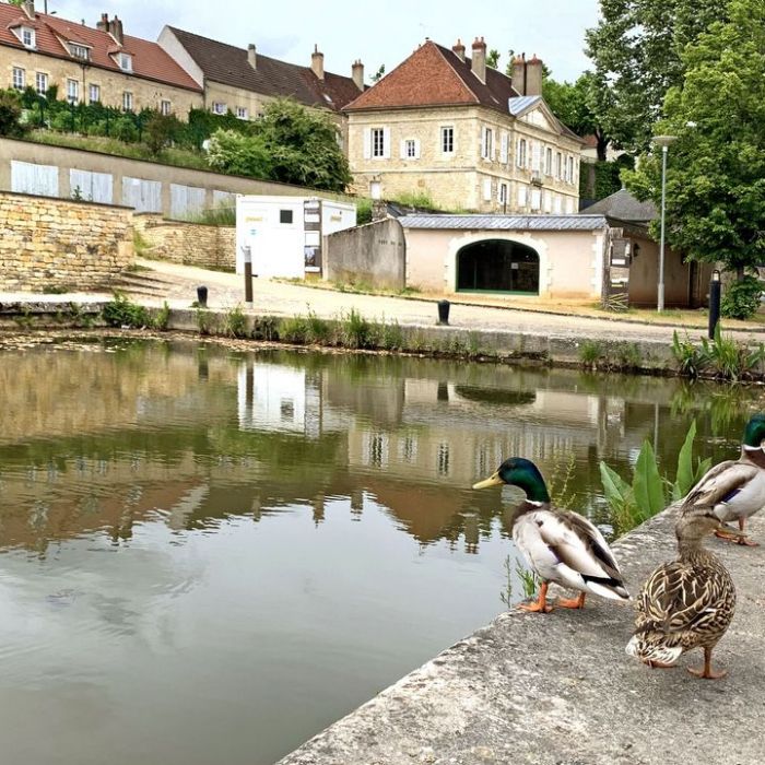 Wiederholung und Mediathek zur Sendung