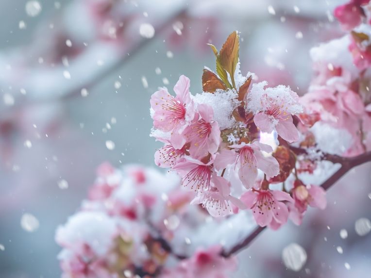 Wetter-Wahnsinn in Deutschland: Erst Dauerregen, dann Kälteschock - Meteorologen warnen vor Nachtfrost