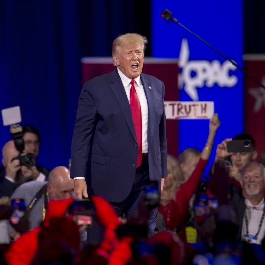 US-Präsident in der Krise - Panik vor wichtigen Wahlen