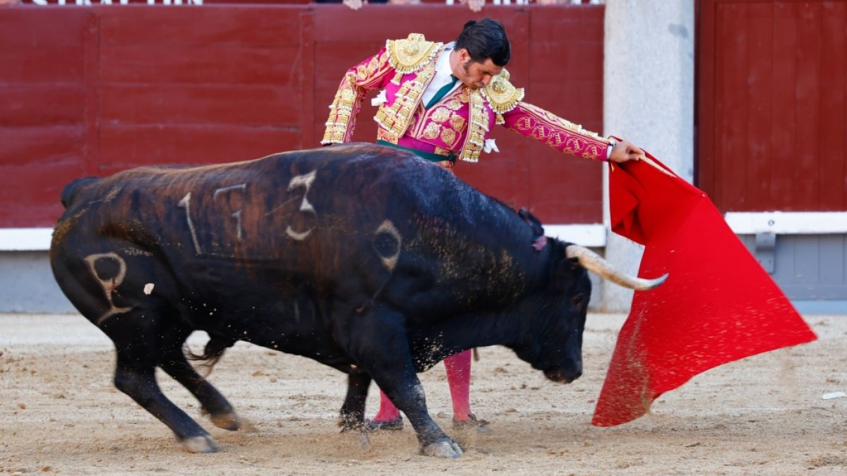 Der spanische Torero Morante de la Puebla wurde bei einem Stierkampf in Sevilla schwer verletzt. (Foto)