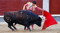 Der spanische Torero Morante de la Puebla wurde bei einem Stierkampf in Sevilla schwer verletzt.
